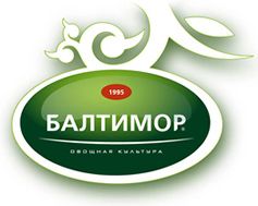 ООО «Торговый дом Балтимор»